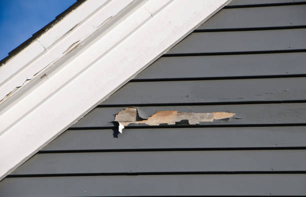 Shed Removal in Shelley, ID